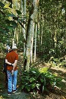 Bosques de la pradera