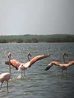 Hotel Monaco De Riohacha