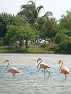 Hotel Monaco De Riohacha