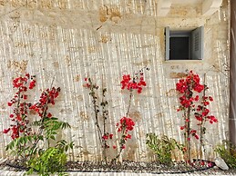 Donna Amelia in Selva di Fasano