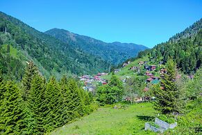 Ayder Palazzo Resort