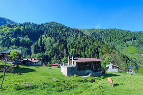 Ayder Palazzo Resort