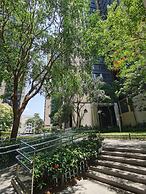 Interact China Fine Conco - Shenzhen Bay