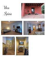 Agriturismo Niccoland