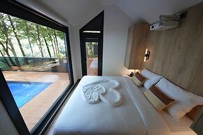 Kartepe Saklı Vadi Tiny House