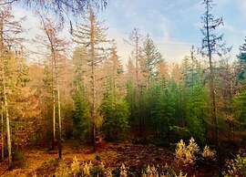 Bungalow in Veluwe With Sauna & Nature Views