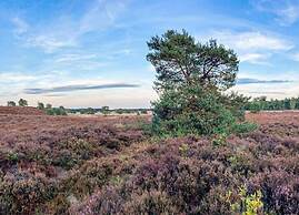 Bungalow in Veluwe With Sauna & Nature Views
