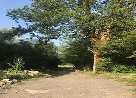 Alpine Getaway With Pool