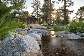 Shay Meadows Ranch & Resort #2500