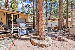 Reality Escape #2466