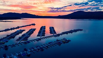 Reality Escape #2466