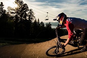 OUR Cabin IN THE Woods #2476