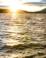 OUR Cabin IN THE Woods #2476