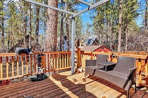 Cozy Bear Pines #2465
