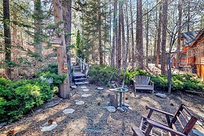 Cozy Bear Pines #2465