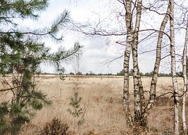 Villa in Someren Near Golf Course