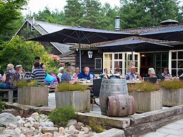 Cozy Chalet With a Decorative Fireplace