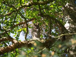 Cozy Chalet With a Decorative Fireplace
