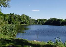 Lodge in Schaijk With Private Sauna