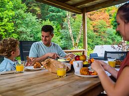 Modern Chalet With Dishwasher, in a Holiday Park, in a Natural Environ