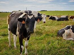Beautiful Hotel Room in a Natural Resort