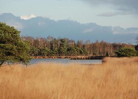 Chalet in Netherlands by Scenic Pond
