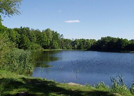 Spacious Villa in Forest Park