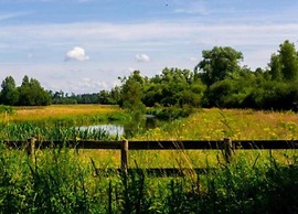 Spacious Villa in Forest Park