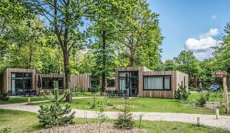 Spacious Villa in Forest Park