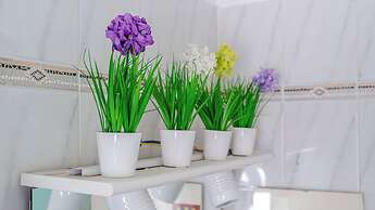 Italianway - Costaguta 75