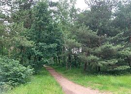 Bungalow in Veluwe Near Harderwijk