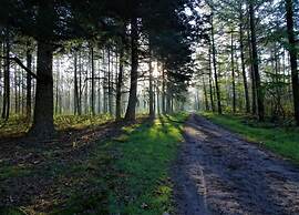Bungalow in Veluwe Near Harderwijk