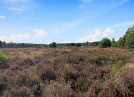Bungalow in Veluwe Near Harderwijk