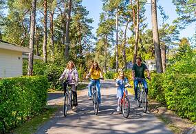 Holiday Home Suitable for Disabled People
