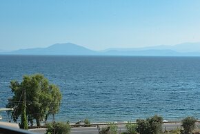 Lilly s Seaview Studio