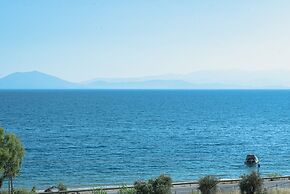 Lilly s Seaview Studio