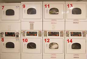 Alma Rentals Palermo