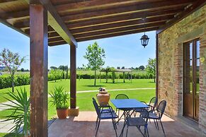 Fratta Mimose in Cortona