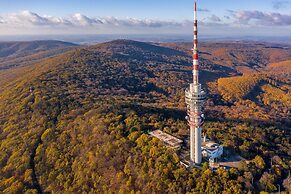 Moose Cabin With A Panoramic View