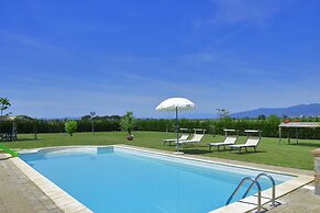 Fratta Ciclamini in Cortona