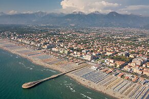 Ginepro Grillo in Camaiore