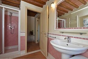 Ginepro Grillo in Camaiore