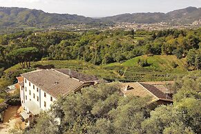 Ginepro Grillo in Camaiore