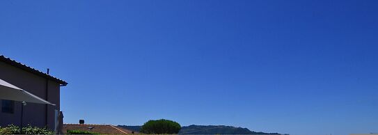 Ginepro Grillo in Camaiore