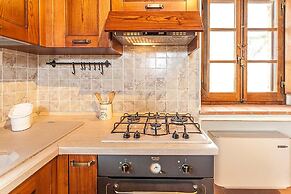 Fratta Orchidee in Cortona