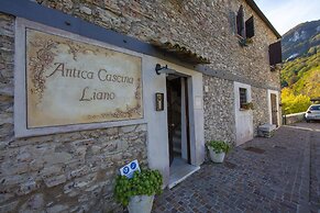 Iris in Hilly Area in Liano-formaga