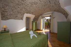 Iris in Hilly Area in Liano-formaga