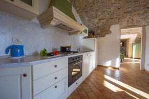 Iris in Hilly Area in Liano-formaga