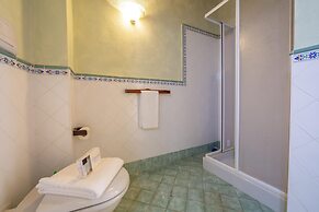 Iris in Hilly Area in Liano-formaga