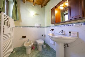 Mimosa in Hilly Area